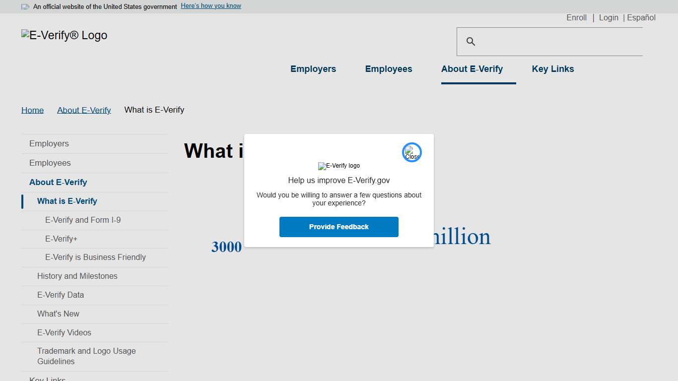 What is E-Verify E-Verify